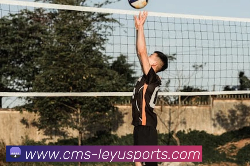 多媒体互动体验